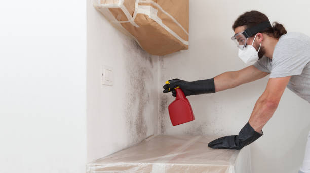 Professional Mold Remediation technician working in Glen Cove, NY